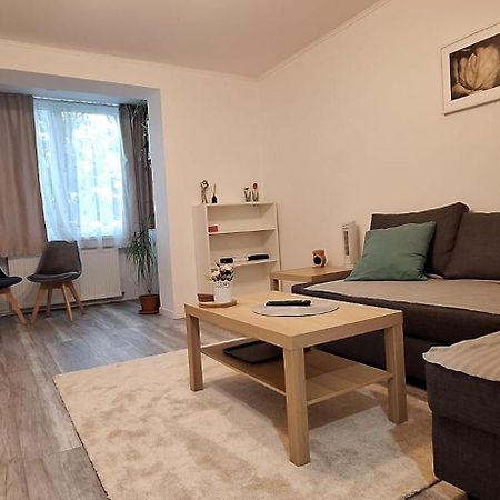Enci House Apartment Târgu-Mureş Exteriör bild